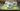 107774951_10158913365004684_3956912176294693892_n
