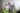 108224585_10158913364409684_2777686365398490798_n (1)