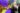 13147426_495326614008265_4970262424193957904_o