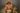 151259213_3711323315650552_5969717784147465879_n