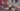 273927201_10160294353979684_7280581015657022564_n