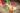 276140434_502827241285930_6483642716661277191_n