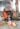 276218702_502827267952594_5283293596126805043_n (1)