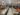 312498141_5573625742753624_6521246657971581773_n