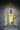 332734256_666303365497052_8691397758020610503_n
