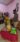 335360148_747932113580352_72372330053098580_n