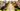 69495839_2367914699991427_6220864583242874880_n