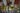 79092923_10158171018454684_8617192696433344512_n
