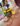 83184018_10158329840874684_3359508893351804928_n