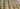 87034109_2726710090752729_8371945532641247232_n