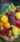 87159511_2726710167419388_6026639324529819648_n