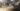 91272937_134049808163677_893946293896871936_n