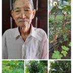 屏蔽与保护