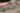 418574260_752617696901683_4931048749998261127_n