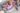face-program141