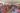 face-program154