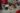 face-program158