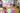 face-program167
