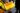 11864895_406627789544815_1630584888274433597_o