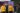 11872004_406627736211487_112114766826041194_o