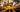 11884093_413036292237298_8304691765835420522_o