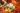 13668945_517405955133664_4755810861056280733_o