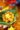 13669417_517405991800327_3408653321847583480_o