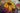 15002479_1124318347658586_7898887868453013727_o