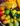 28166709_837133726494217_7555710871386793323_n