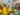 314580103_10160789673214684_2798238333331703199_n