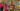 332192892_1230699730905146_5206778903695480837_n