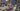 332482181_2272471406263761_1288668505996757767_n