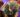 333059781_912567956605017_2831386146323772782_n