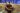 344357812_773971517639875_4376281357694067405_n