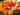 52410547_1063715683836019_3971918002231705600_n