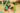 72313502_2543255329124029_3633228013824376832_n