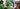 74843430_2543256432457252_582967537562550272_n