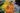 74908147_2543258039123758_4932205232860954624_n