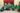 78370902_2543255915790637_605151666416648192_n