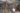 418581594_752617433568376_8753706556004891256_n